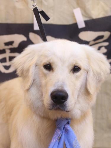 20240630レオくん